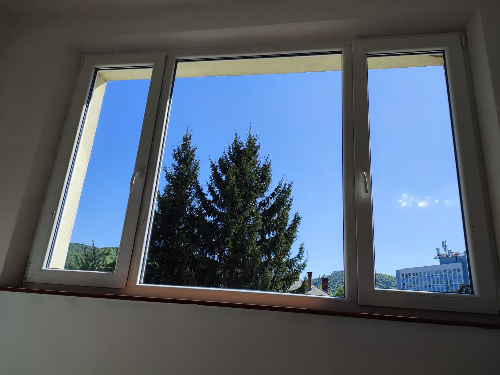 Okenná tabuľa s výhľadom na stromy